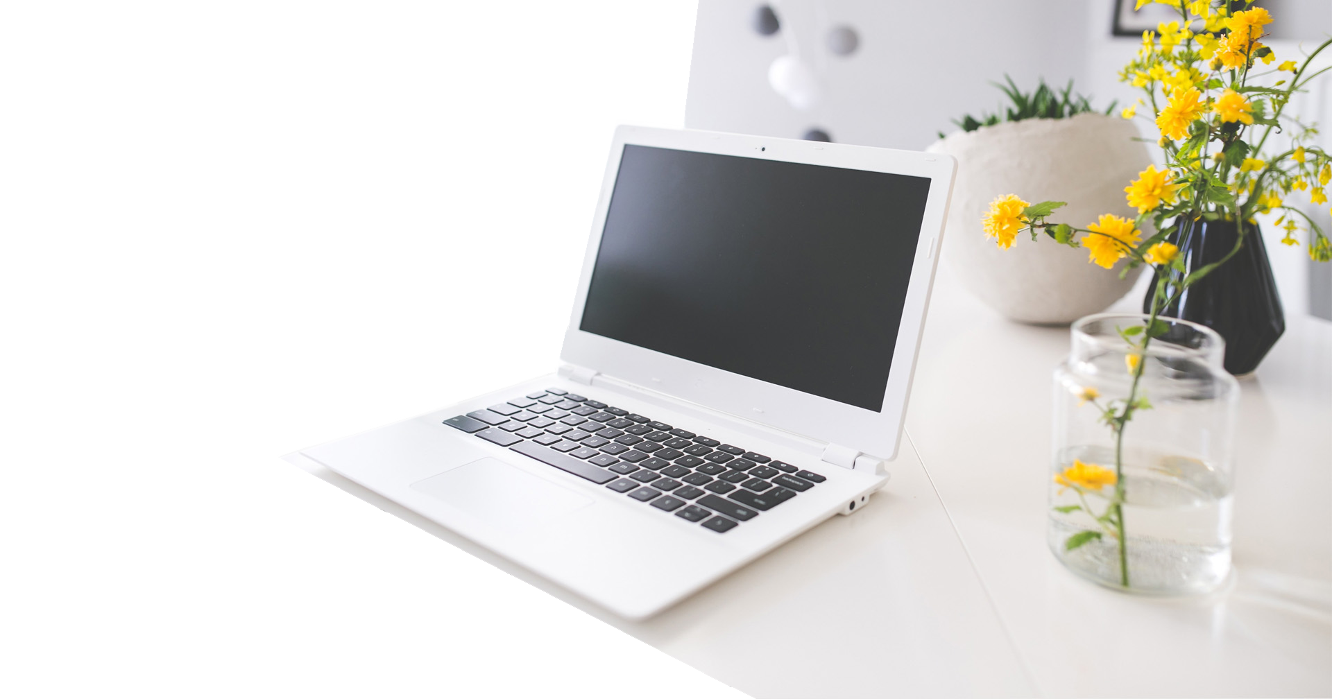Affordable Web Design Company in Tampa